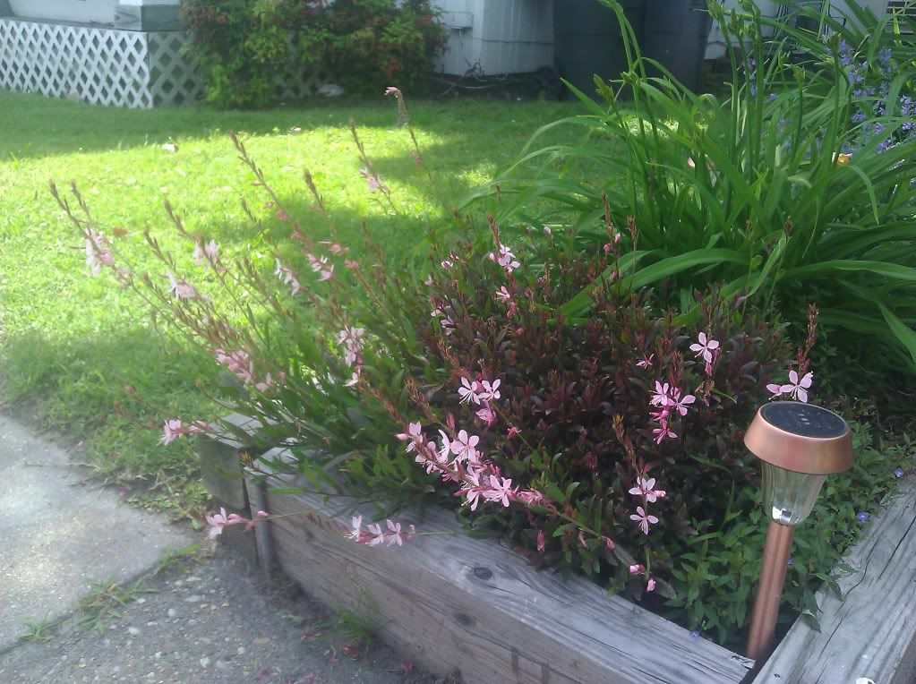  photo IMG_20120519_151438.jpg