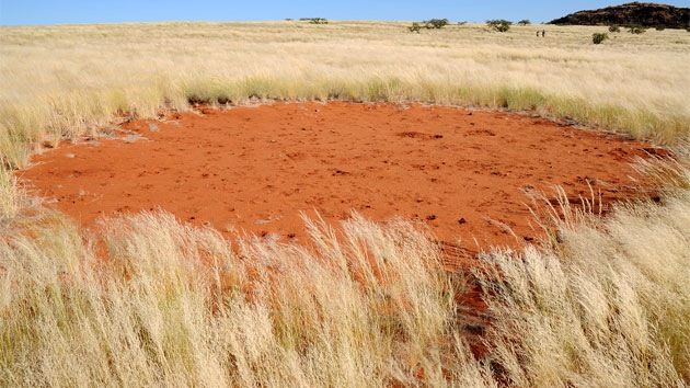  photo CiacuterculosmaacutegicosenNamibiasorprendenacientiacuteficos_zpsb7259f84.jpg