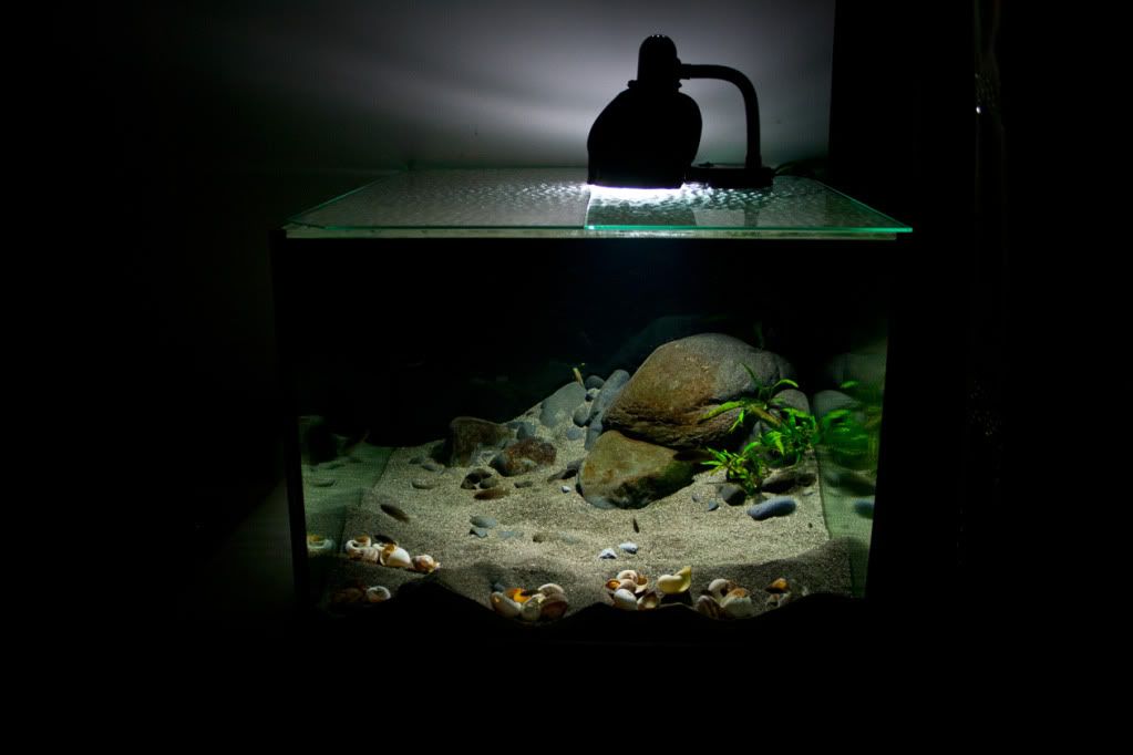Imagen