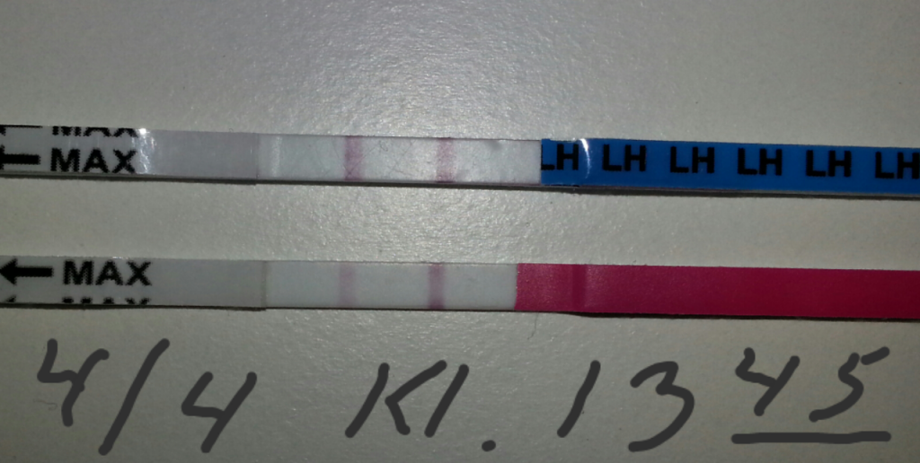  photo 2013-04-04145911.png