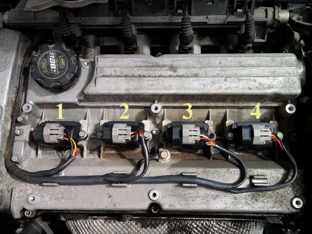 coilsnumberd.jpg