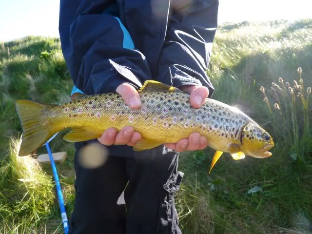 fishinscotland,fishing,scotland,brown trout,fly fishing,Orkney