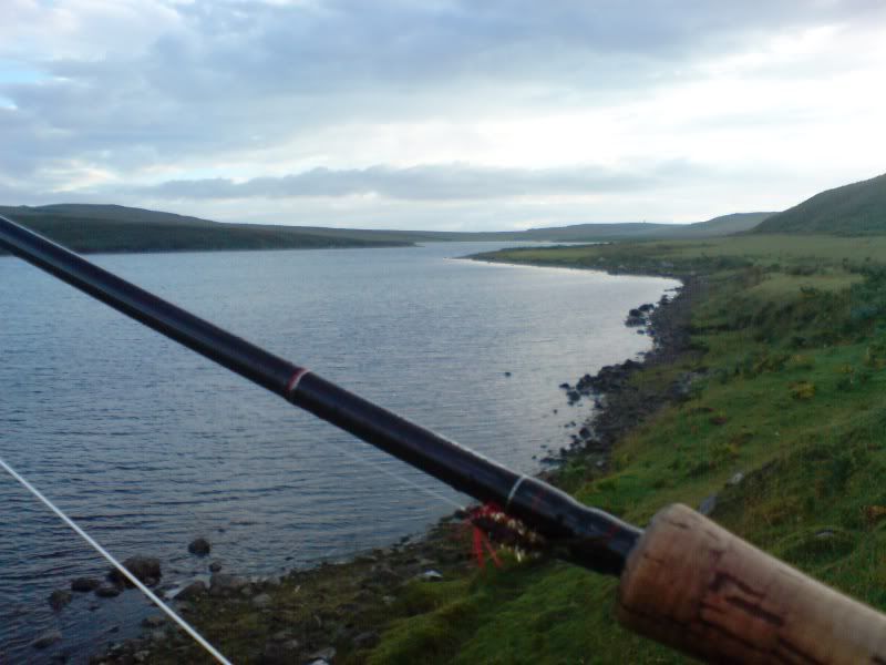Fishinscotland,fishing,Scotland,Fly fishing,trout,brown trout