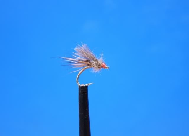 fishing,scotland,fishinscotland,fly tying,trout,March Brown