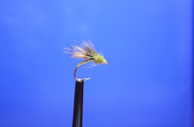 fishinscotland,flies,fly tying,trout,scotland,fly fishing,fishing
