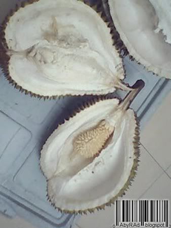 www.klikunic.com: Foto Aneh Tapi Nyata (Durian Isinya D