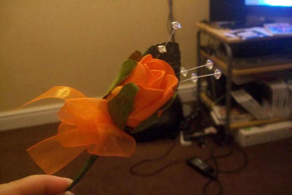 100_4811.jpg