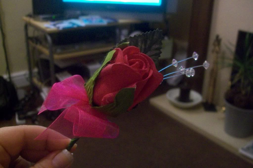 100_4814.jpg